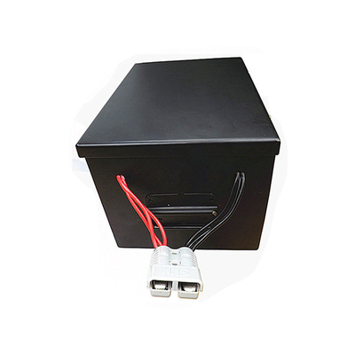 batterie profonde de cycle de 48V 200Ah avec construit dans la puissance de BMS Perfect For Backup et